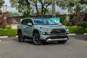 Toyota RAV4 2019 Green for sale