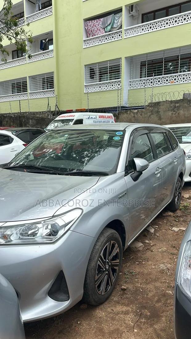 Toyota Corolla Fielder 2019 Silver