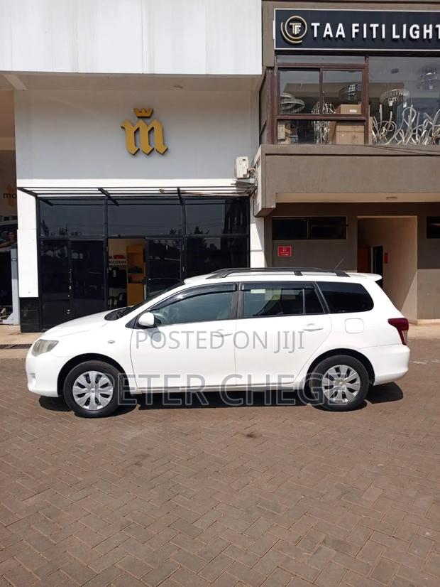 Toyota Corolla Fielder 2010 Pearl