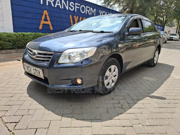 Toyota Axio 2010 Gray