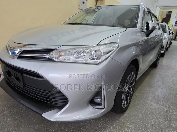 Toyota Corolla Fielder 2019 Silver