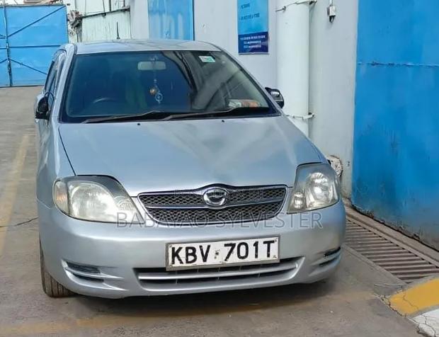 Toyota Corolla Fielder 2007 Silver