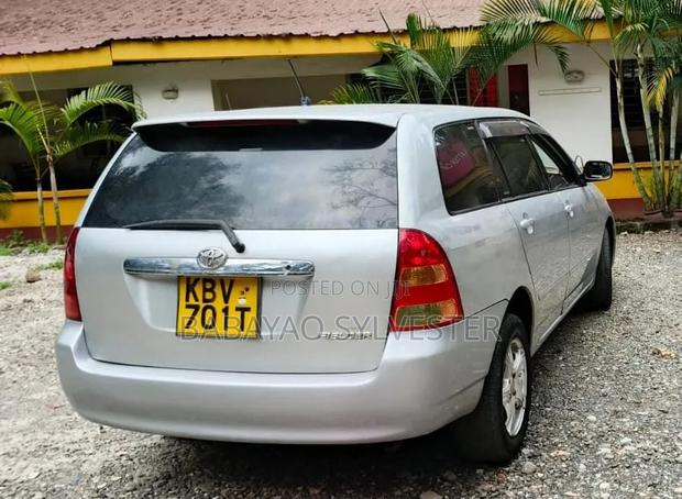 Toyota Corolla Fielder 2007 Silver