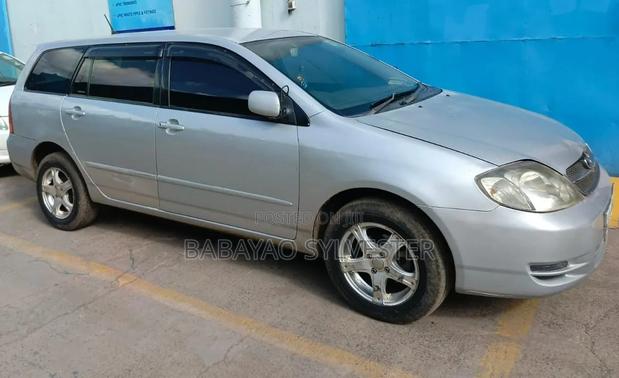 Toyota Corolla Fielder 2007 Silver
