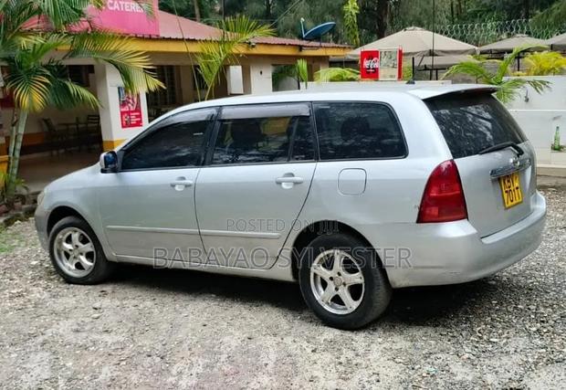 Toyota Corolla Fielder 2007 Silver
