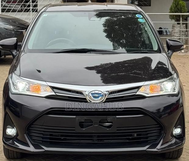 Toyota Corolla Fielder 2019 Maroon