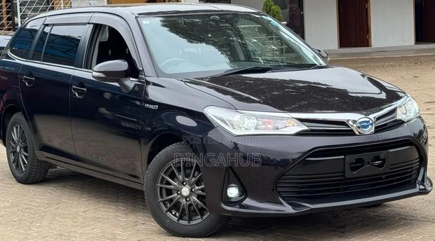 Toyota Corolla Fielder 2019 Maroon
