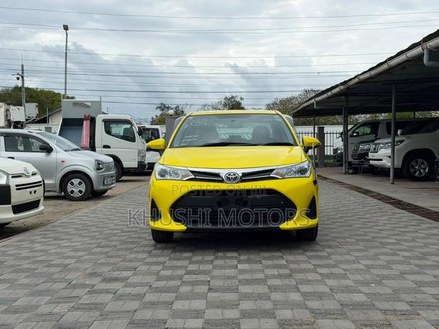 Toyota Axio 2019 Yellow