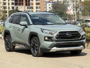 Toyota RAV4 2019 Green for sale