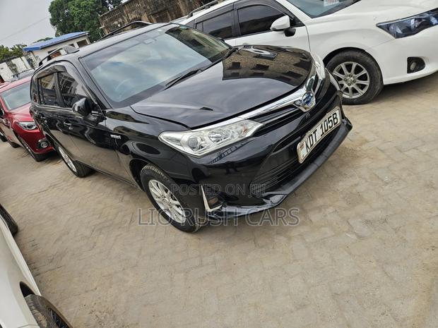 Toyota Corolla Fielder 2018 Black