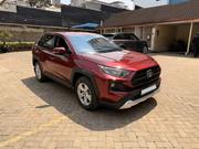 Toyota RAV4 2019 Red for sale