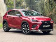 Lexus NX 300 FWD 2019 Red for sale