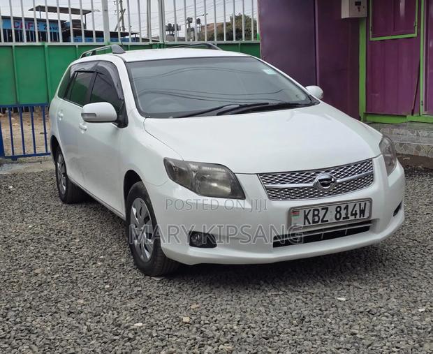 Toyota Corolla Fielder 2007 White
