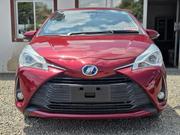 Toyota Vitz 2019 Red for sale