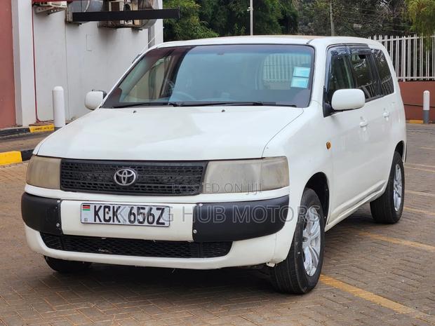 Toyota Probox 2010 Pearl