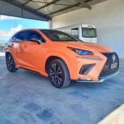 Lexus NX 2018 Orange for sale