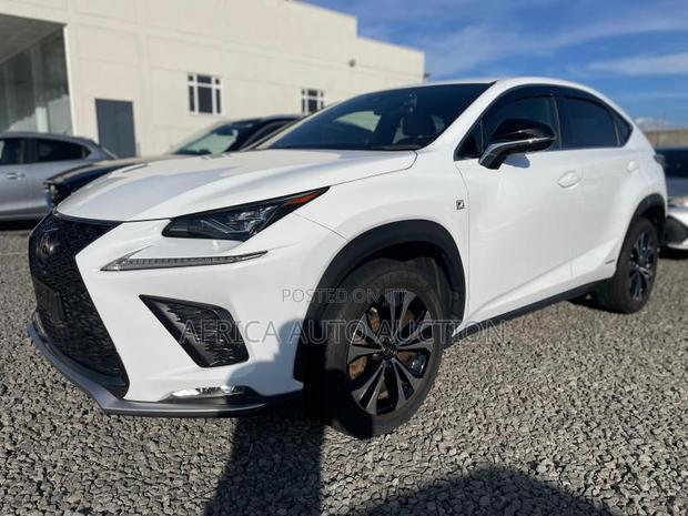 Lexus NX 2019 White