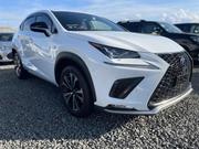 Lexus NX 2019 White for sale