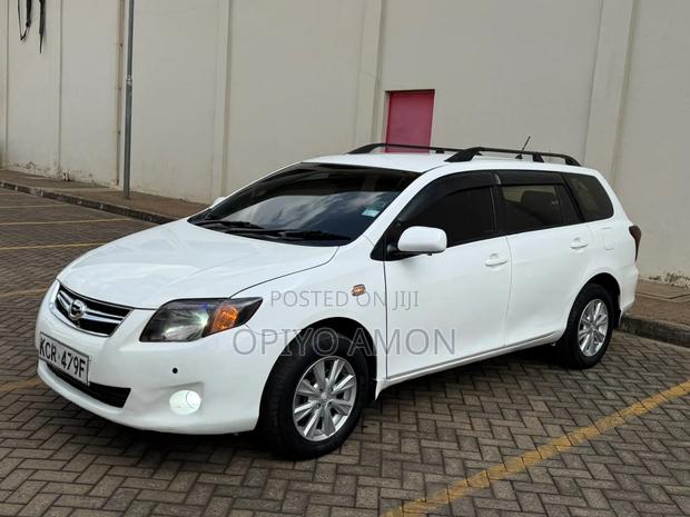Toyota Corolla Fielder 2010 White