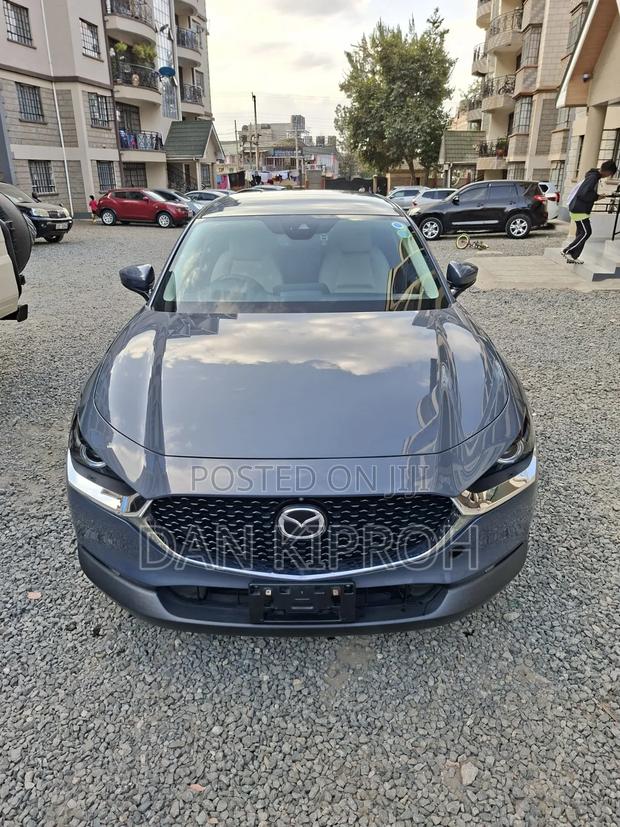 Mazda CX-30 2019 Gray
