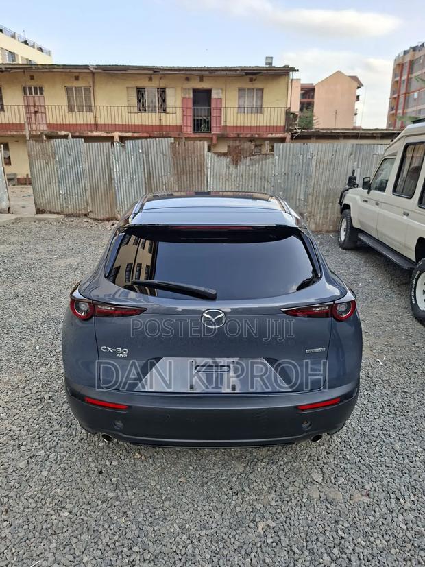 Mazda CX-30 2019 Gray