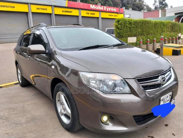 Toyota Corolla Fielder 2010 Silver