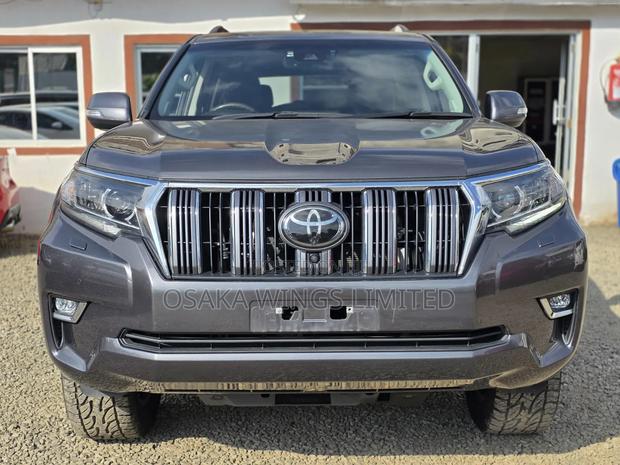 Toyota Land Cruiser Prado 2019 Gray