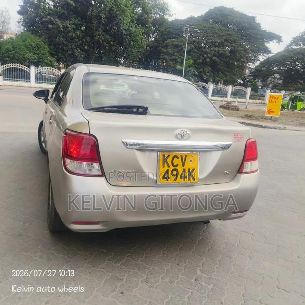 Toyota Axio 2013 Gold
