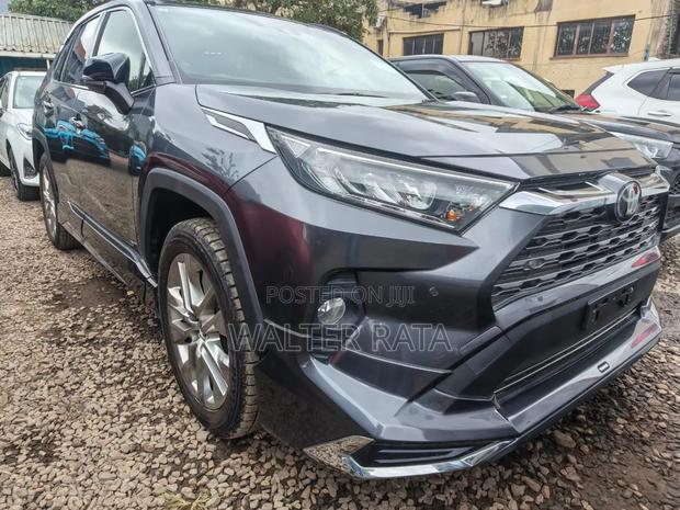Toyota RAV4 2019 Gray