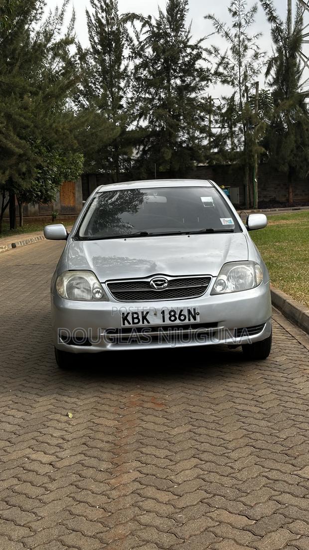 Toyota Corolla Fielder 2003 Silver