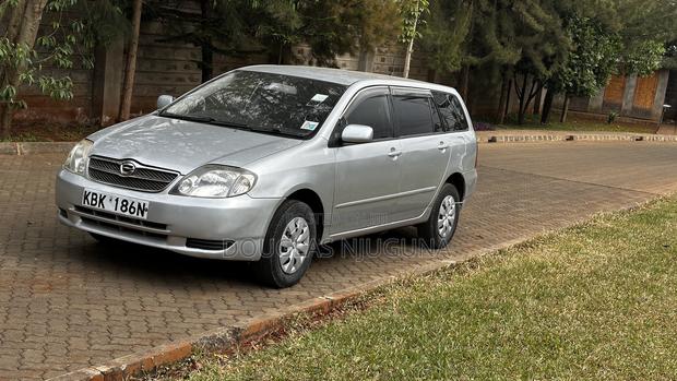Toyota Corolla Fielder 2003 Silver