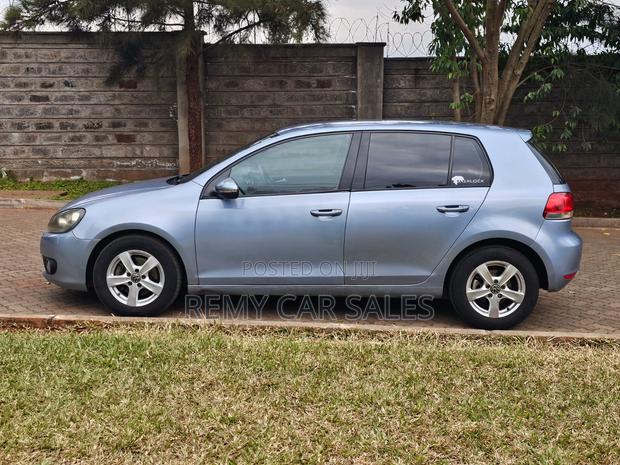 Volkswagen Golf 2010 Blue