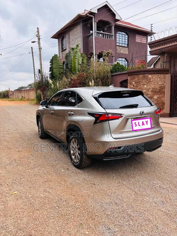Lexus NX 2015 Silver