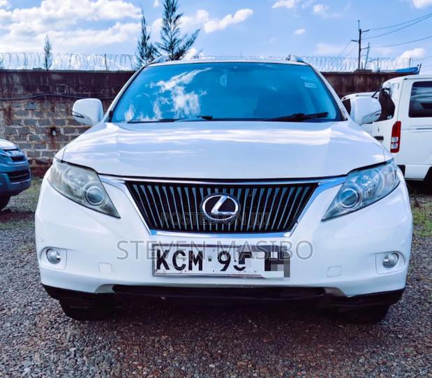 Lexus RX 350 2010 White