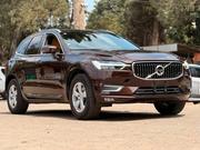 Volvo XC60 2019 Brown for sale