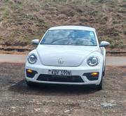 Volkswagen Beetle 2019 White for sale