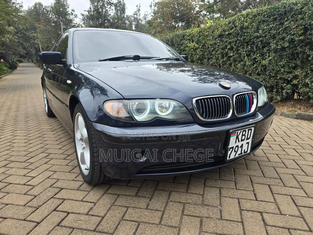 BMW 318i 2004 Blue