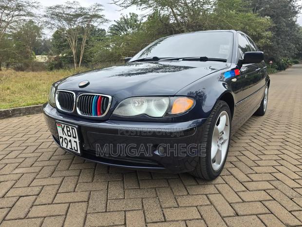 BMW 318i 2004 Blue