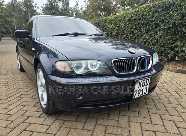 BMW 318i 2004 Blue