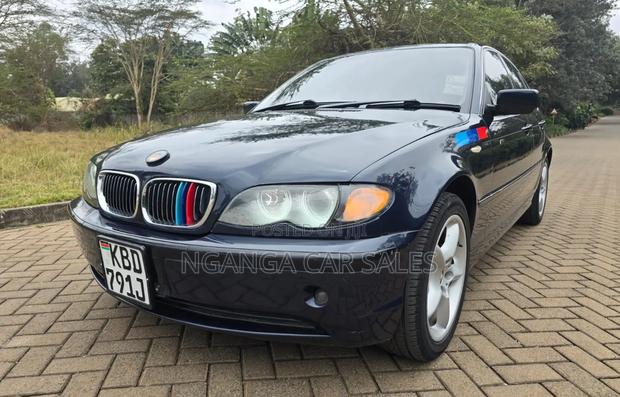 BMW 318i 2004 Blue