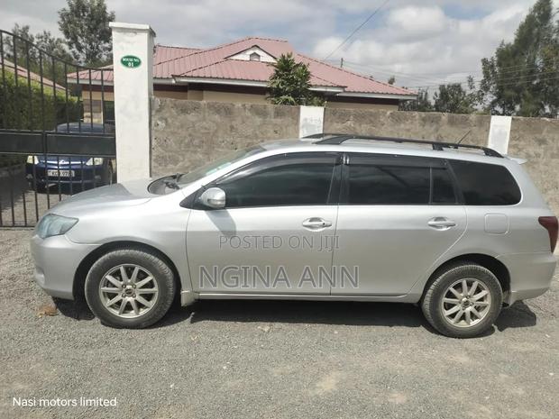 Toyota Corolla Fielder 2009 Silver