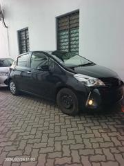 Toyota Vitz 2019 Black for sale