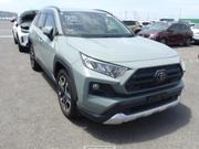 Toyota RAV4 2019 Green for sale