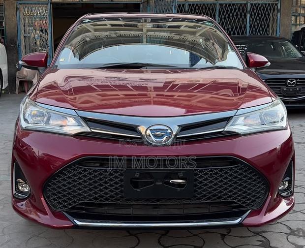 Toyota Axio 2019 Red