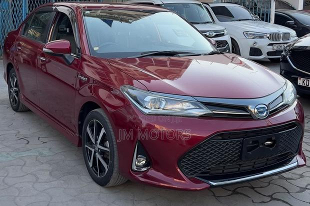 Toyota Axio 2019 Red