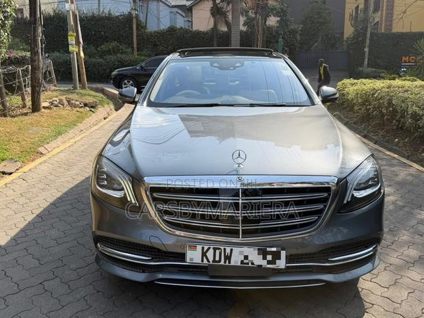 Mercedes-Benz S-Class S 450 4MATIC (W222) 2018 Gray