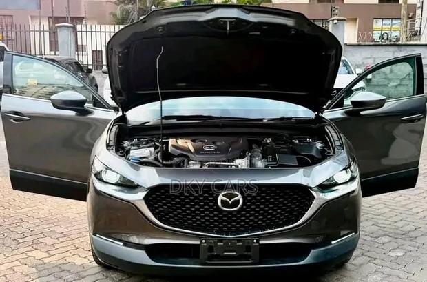 Mazda CX-30 2019 Gray