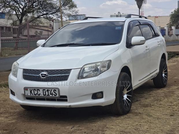 Toyota Corolla Fielder 2009 White