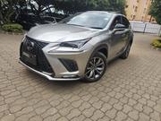 Lexus NX 2019 Beige for sale