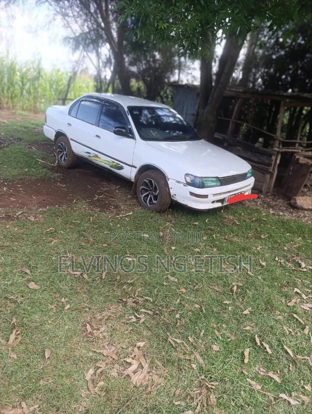Toyota Corolla 1998 White